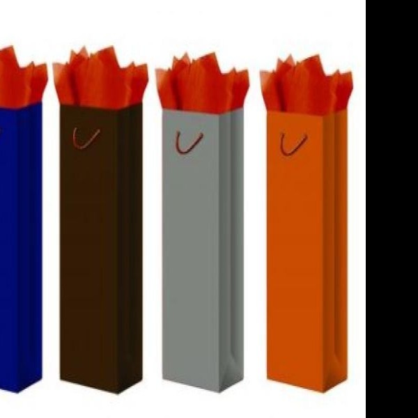 BOLSA PBOTELLA SLIC. DIPAK E.10 C.100